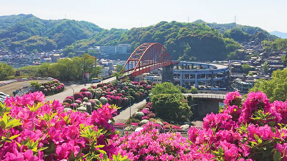 音戸大橋とツツジ