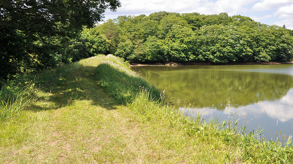 工事前のため池