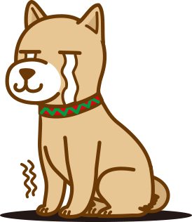 ムーチョの画像