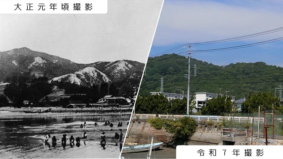 今と昔の森