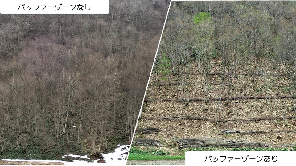 バッファーゾーンのありとなし