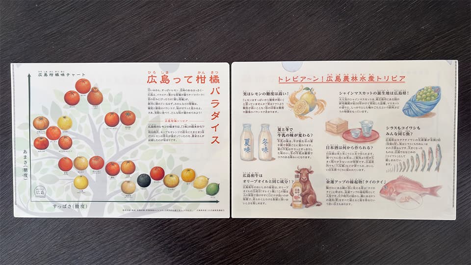 食材のトリビアを紹介したクリアファイル