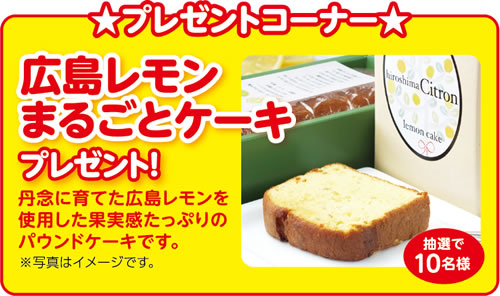 プレゼントコーナー 広島レモンまるごとケーキプレゼント！ 瀬戸内の爽やかな味と香りをまるごと堪能できる“地サイダー”です。 ※写真はイメージです。 抽選で10名様