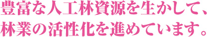 豊富な人工林資源を生かして、林業の活性化を進めています。