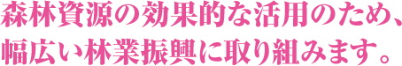 森林資源の効果的な活用のため、幅広い林業振興に取り組みます。