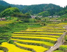 里山のイメージ