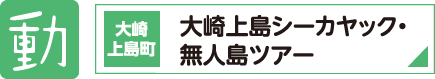 動　大崎上島町 大崎上島シーカヤック・無人島ツアー