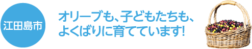 江田島市　オリーブも、子どもたちも、よくばりに育てています！