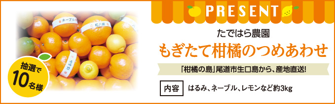 プレゼントコーナー たではら農園 もぎたて柑橘のつめあわせを抽選で10名様にプレゼント！