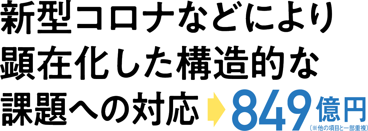 テキスト画像：新型コロナなどにより顕在化した構造的な課題への対応→849億円（※他の項目と一部重複）