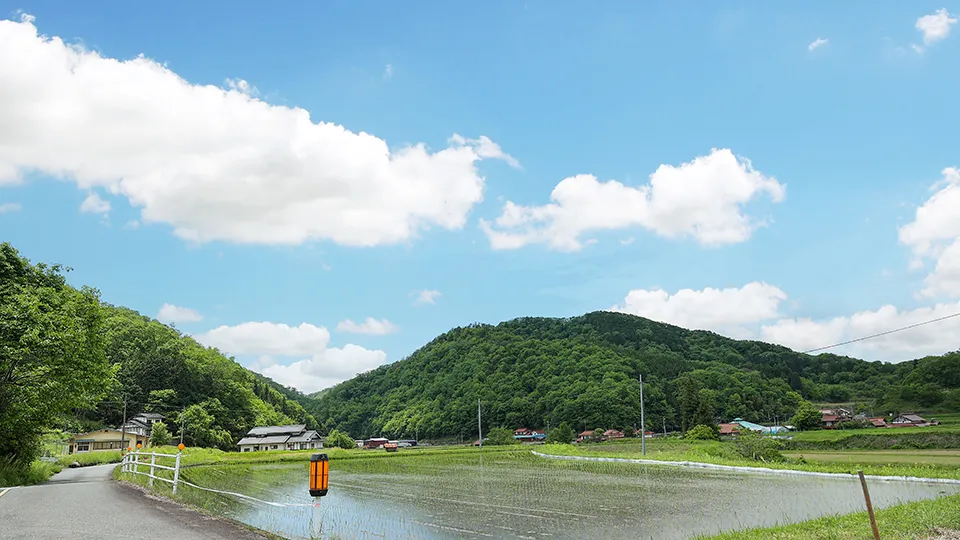 庄原の自然風景