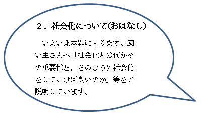 社会化とは何か，どうやって社会化をすればよいのか，説明します。