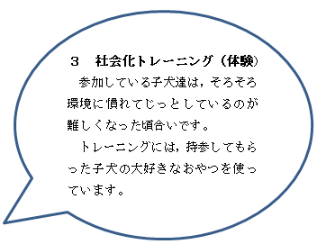 おやつを使いながら，環境に慣れる練習をします。