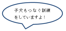 子犬をつなぐ訓練をしていますよ！