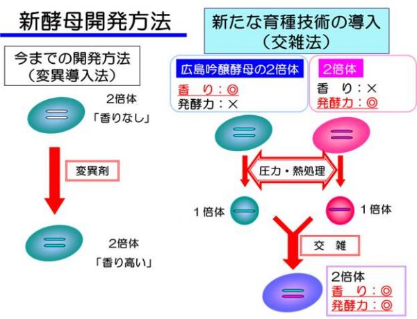 開発方法