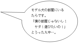 もでる犬の部屋にいるたら。「ヤダ！遊びたいの！」とうったえ中