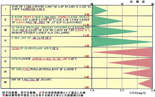 潮間帯生物の分布と汚濁度の関係