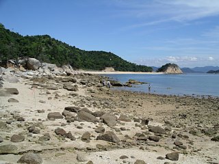 大砂利海岸の東側の写真