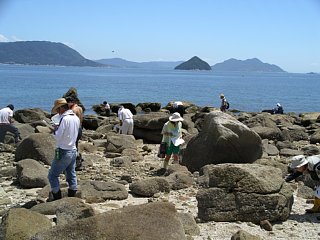 調査風景の写真