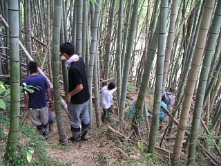 山側ルートから干潟への写真