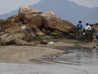 岩礁域の調査の写真