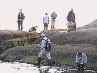 生物の分布状況