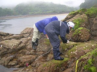 雨の中の調査でしたの写真