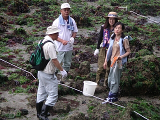 名前の判らない生物の写真