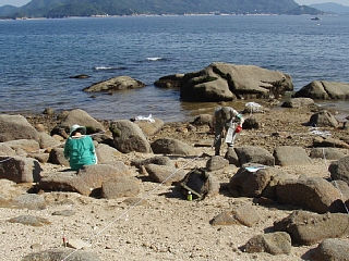 調査状況