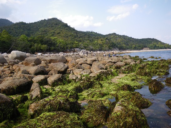 海岸の様子の写真