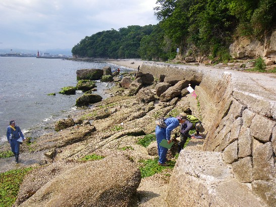 海岸の様子の写真