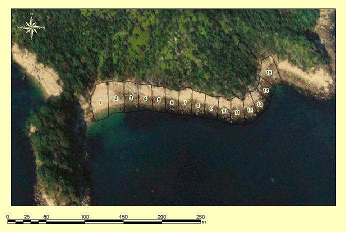 １５区域区分イメージ図