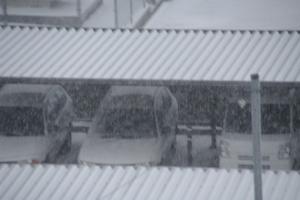 吹雪でなかったら雪は取れる