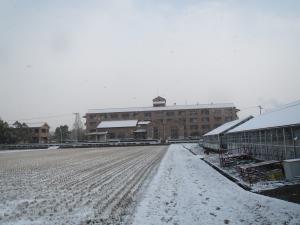 本館裏の積雪