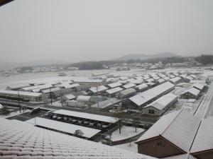 ハウス群の積雪