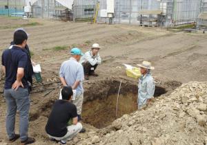 土の断面1