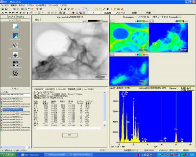 Noran-System-Sixを使用したSTEM-EDS元素マップデータの主成分分析が可能