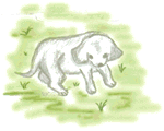 子犬のイラスト