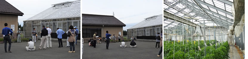 トマト栽培講習会