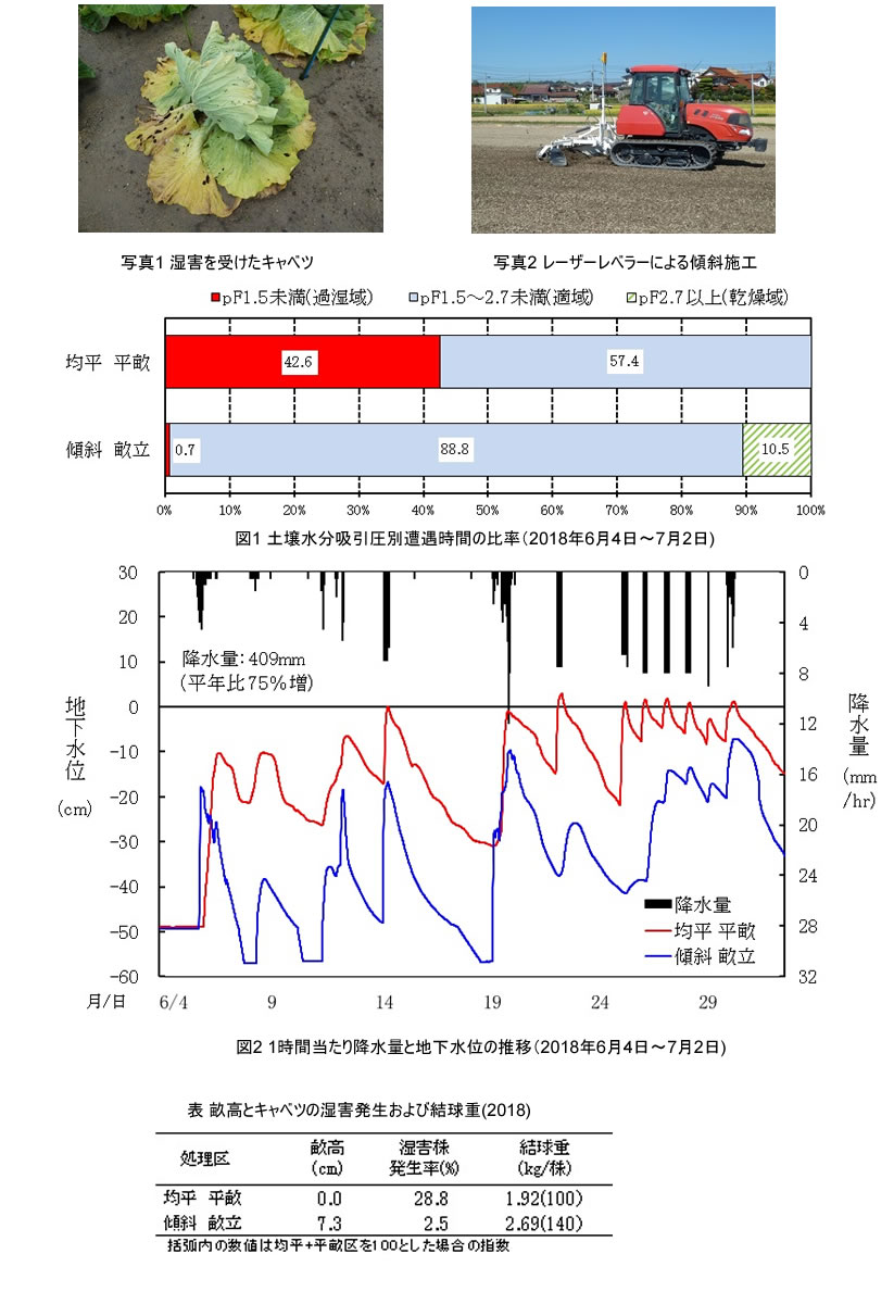 写真図表