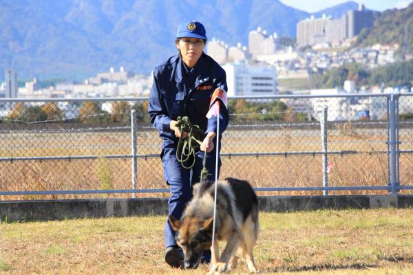 警察犬訓練中の警察官