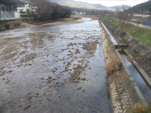 三篠川：広島市安佐北区白木町井原