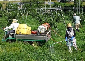 除草剤