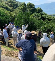 圃場での講習