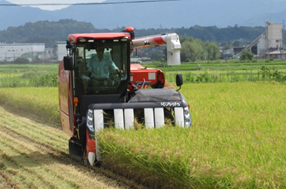 食味収量コンバイン