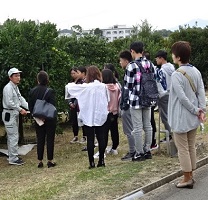 ②ﾐｶﾝ主幹形圃場視察