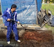 ②ﾊﾞｰｸｽﾄﾘｯﾊﾟｰによる根の掘り出し