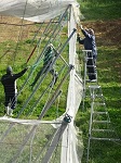 ②ネット除去（近景）