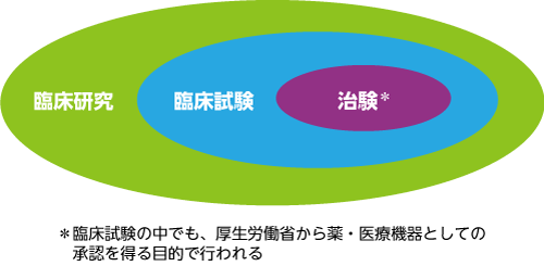 臨床試験の位置づけについての図