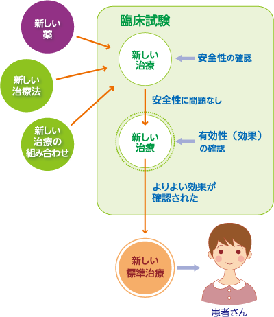 臨床試験から標準治療ができるまでの流れを示す図